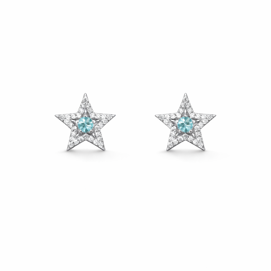 Sea Star Earring