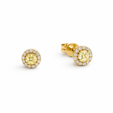 Diamond Stud Earrings