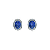 Sapphire Earring. Earrings. 18K gold earring. White Gold, yellow gold, rose gold. Perfect Gift. Earring gift. Fine jewelry. Anatol. Kifissia. Golden Hall. Σκουλαρίκι χρυσό. Σκουλαρίκι  με ζαφείρια. Σκουλαρίκι τρυπητό. Σκουλαρίκι με ζαφείρι. Σκουλαρίκι με διαμάντια. Athens. Κηφισιά. Σκουλαρίκι με μπριγιάν. 