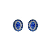 Sapphire Earring. Earrings. 18K gold earring. White Gold, yellow gold, rose gold. Perfect Gift. Earring gift. Fine jewelry. Anatol. Kifissia. Golden Hall. Σκουλαρίκι χρυσό. Σκουλαρίκι  με ζαφείρια. Σκουλαρίκι τρυπητό. Σκουλαρίκι με ζαφείρι. Σκουλαρίκι με διαμάντια. Athens. Κηφισιά. Σκουλαρίκι με μπριγιάν. 